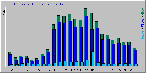 Hourly usage for January 2012