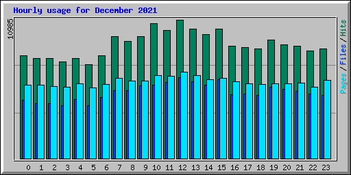 Hourly usage for December 2021