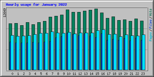 Hourly usage for January 2022