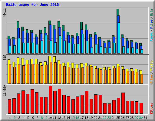 Daily usage for June 2013