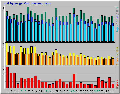 Daily usage for January 2019