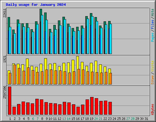 Daily usage for January 2024