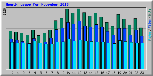 Hourly usage for November 2013