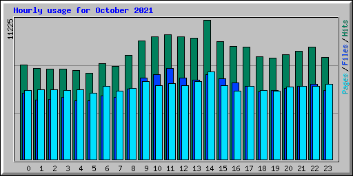 Hourly usage for October 2021