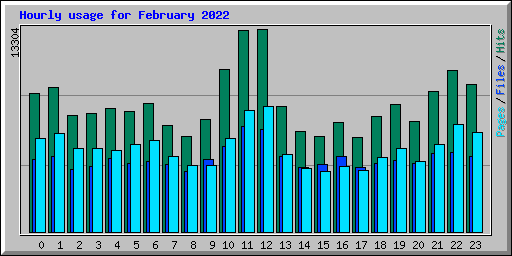 Hourly usage for February 2022