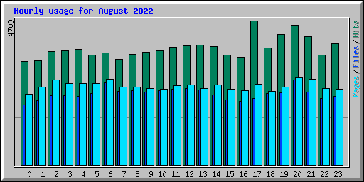 Hourly usage for August 2022