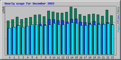 Hourly usage for December 2022