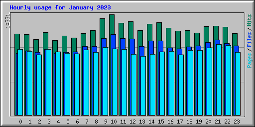 Hourly usage for January 2023