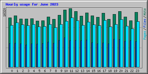 Hourly usage for June 2023