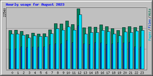 Hourly usage for August 2023