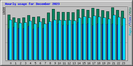 Hourly usage for December 2023