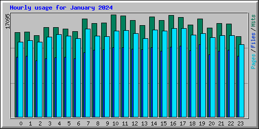 Hourly usage for January 2024