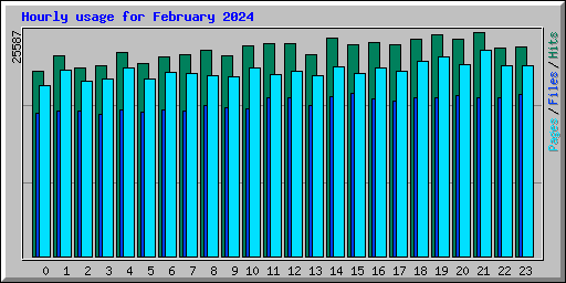 Hourly usage for February 2024