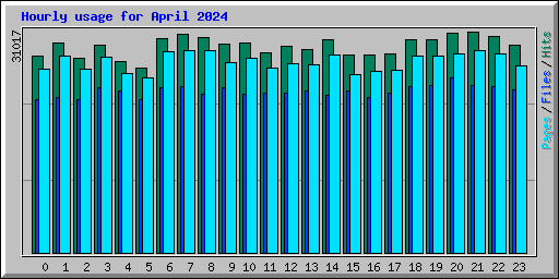 Hourly usage for April 2024